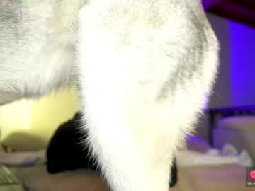 valery_ferreyraa's sex show image valery_ferreyraa's sex show image