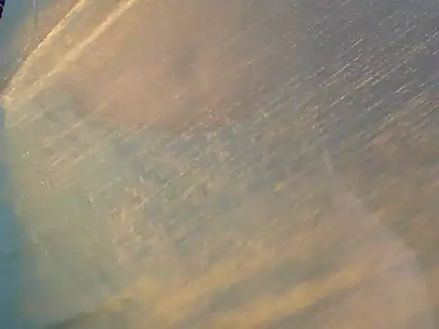 Naira_fit's sex show image