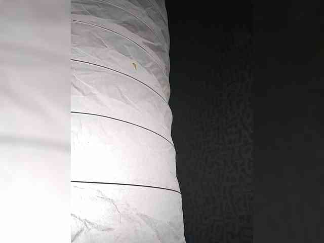 SashaLyubov's sex show image