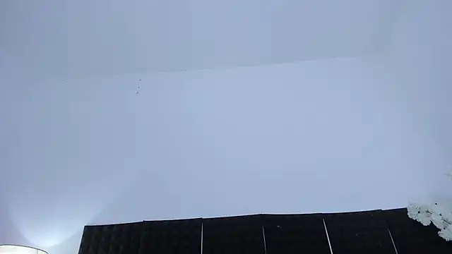 guadalupe21_'s sex show image