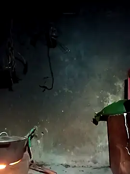 Hoa-tuylip's sex show image