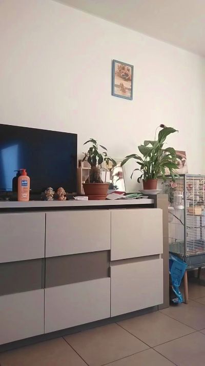 Babylove54's sex show image