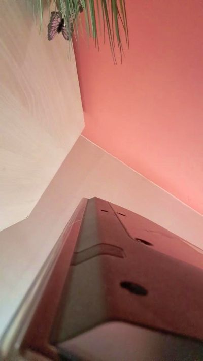 Изображение секс-шоу модели Ywett_Doll