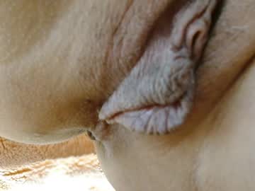 Sexshow-Bild von cbz112233