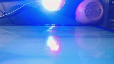 fabulous_shaira's sex show image