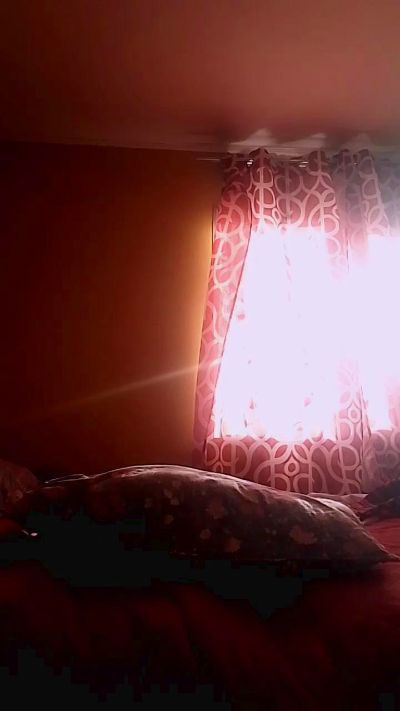 Biscochita's sex show image