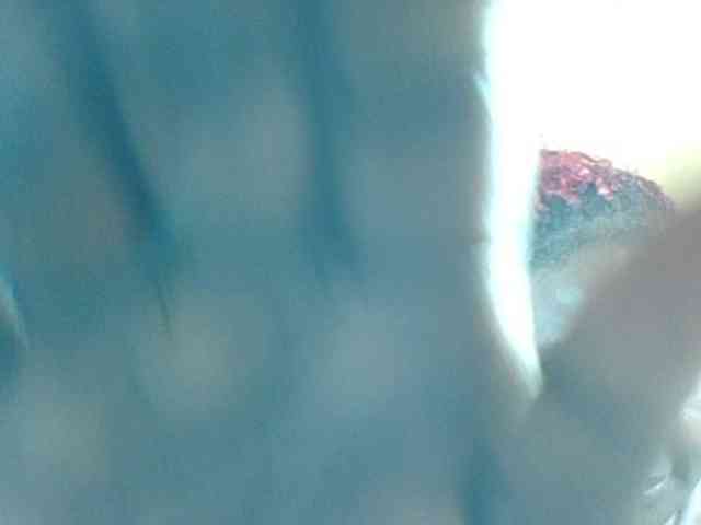 Изображение секс-шоу модели Black-divas