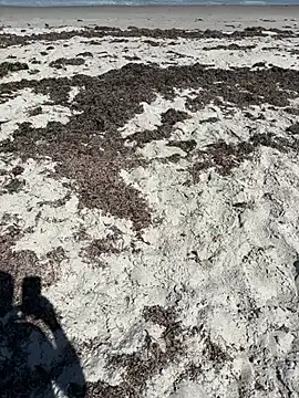 TiffaneyLove's sex show image