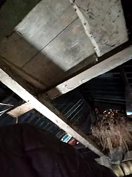 Sexshow-Bild von _Helala_