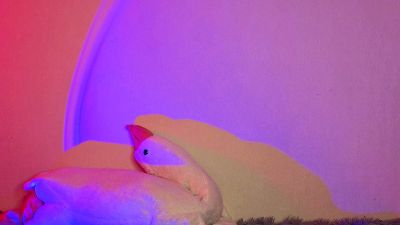 EllamaeWerley's sex show image EllamaeWerley's sex show image