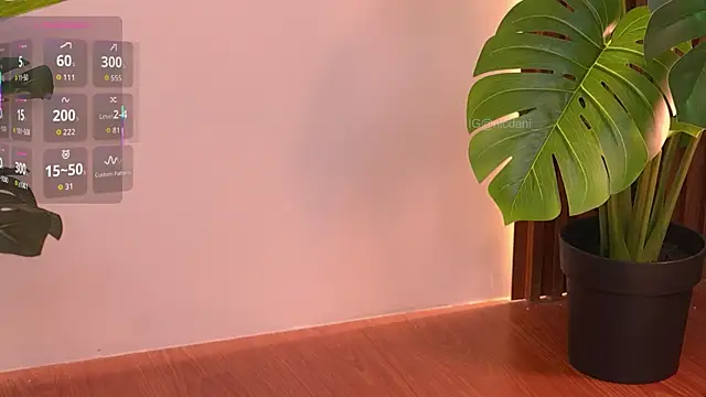 Sexshow-Bild von nicdani_1