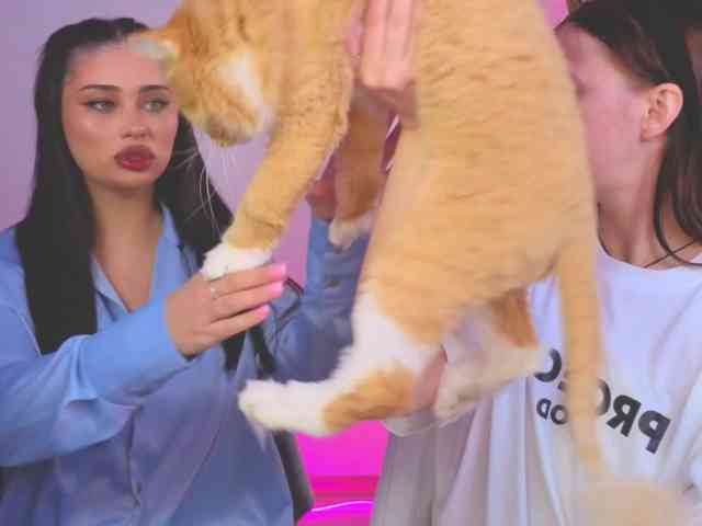 Lizattt's sex show image